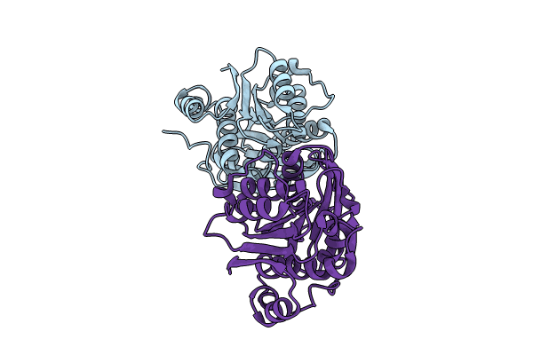 8X6V image
