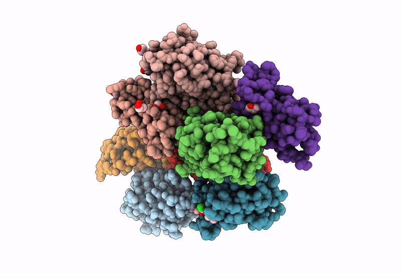 8X7H image
