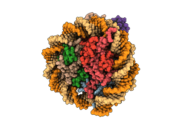 8X7J image