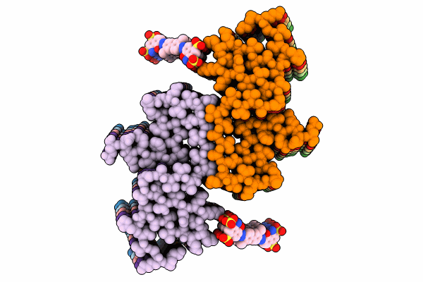 8X7L image