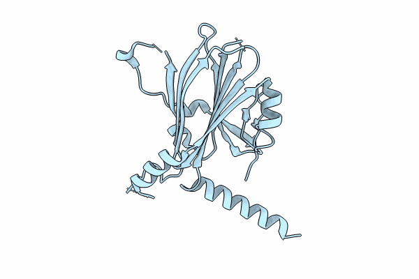 8X8V image