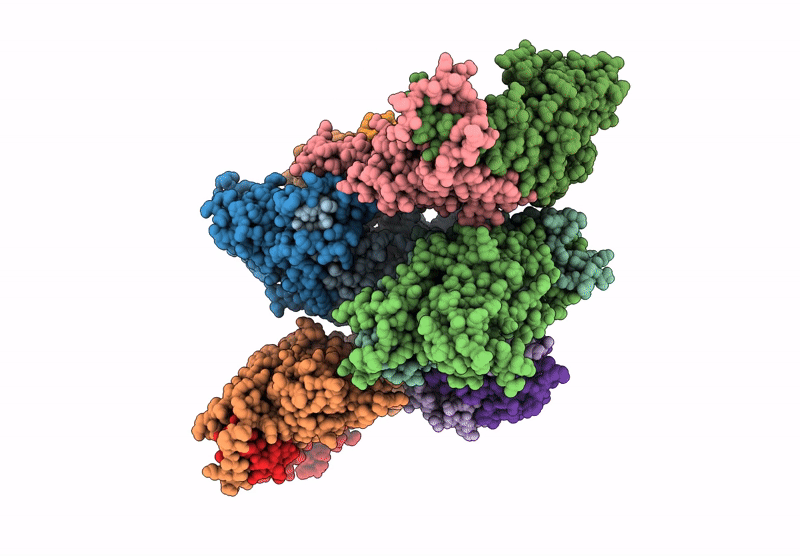 8XAA image