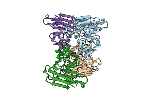 8XAI image