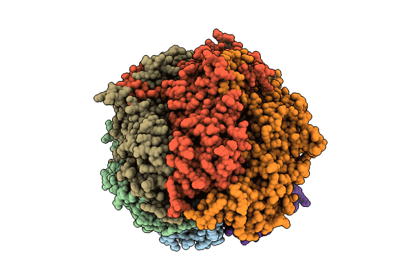 8XAU image