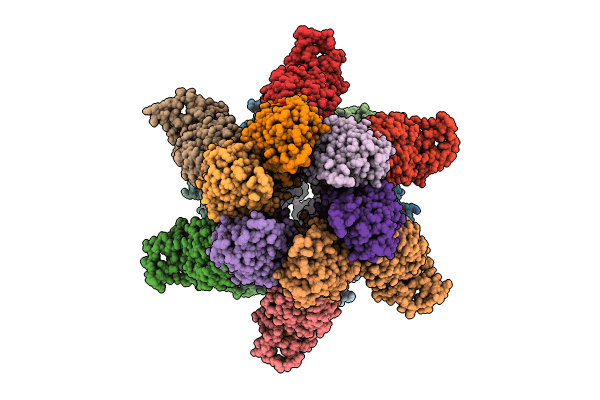 8XAV image