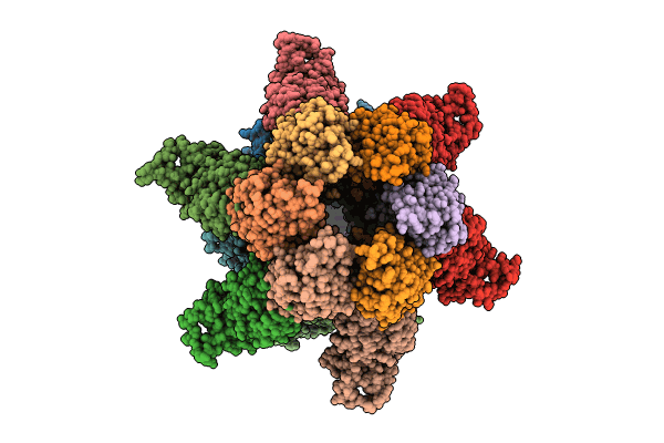 8XAX image
