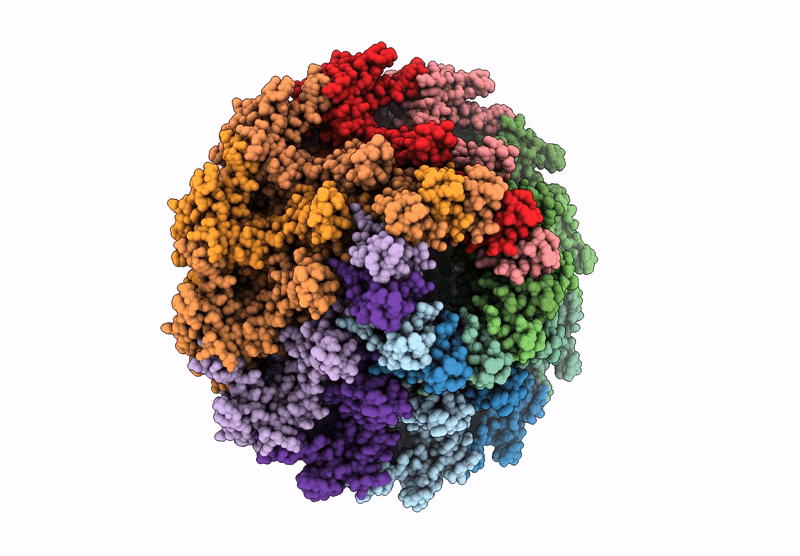 8XB5 image