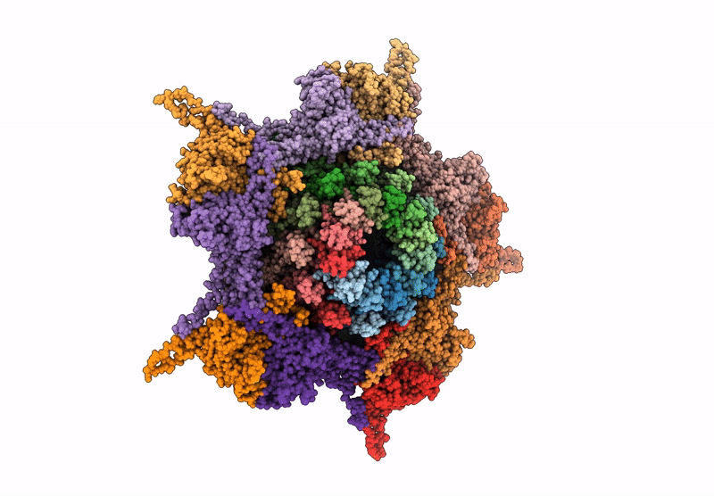 8XB6 image