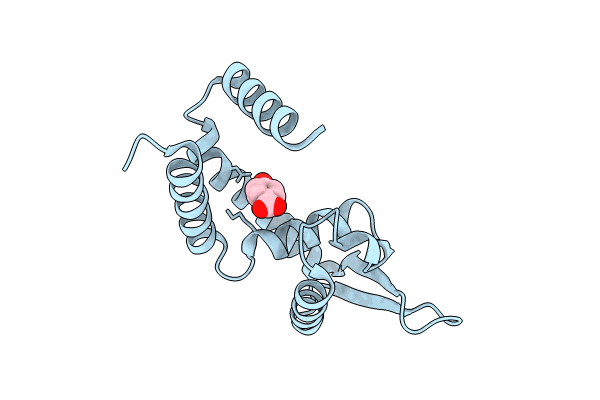 8XB7 image