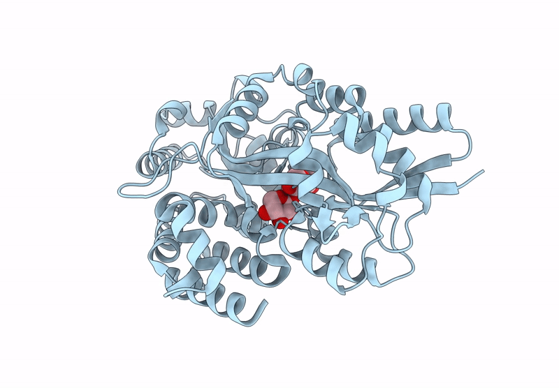 8XBC image