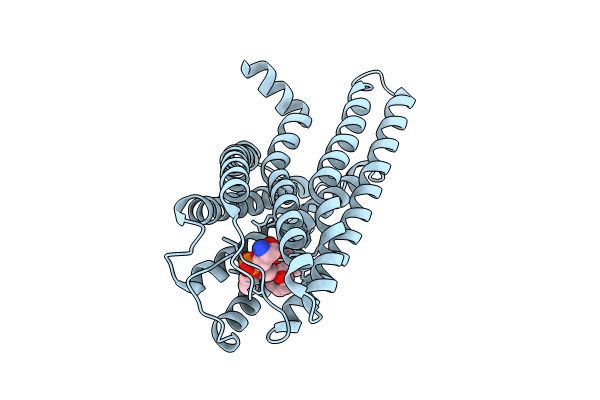 8XBI image