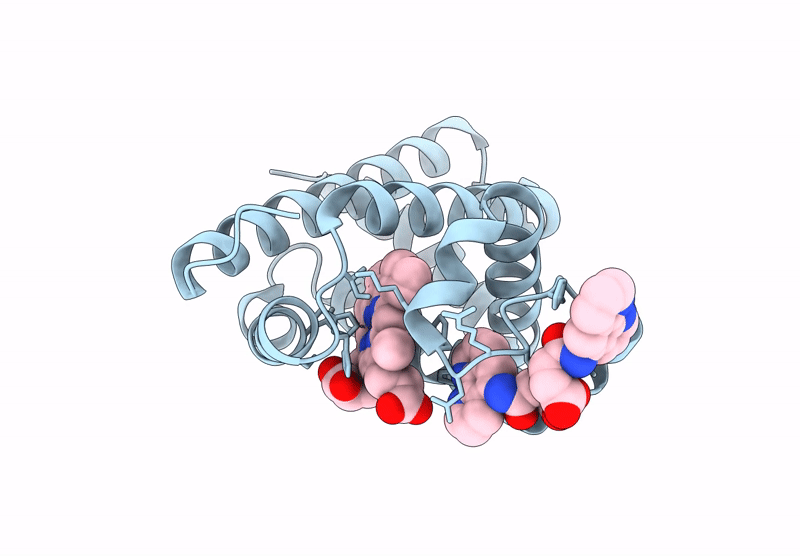 8XBJ image