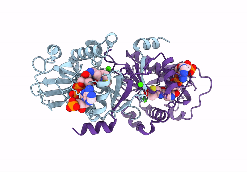 8XBP image