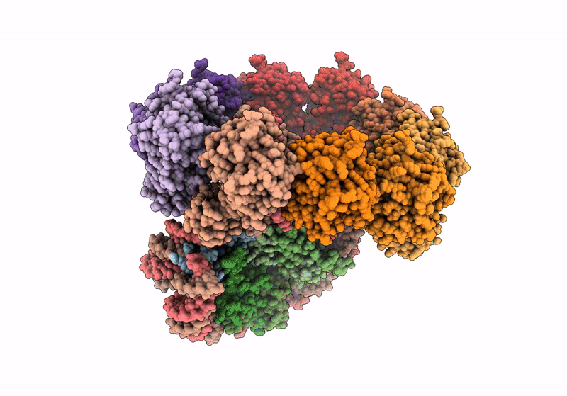 8XBU image