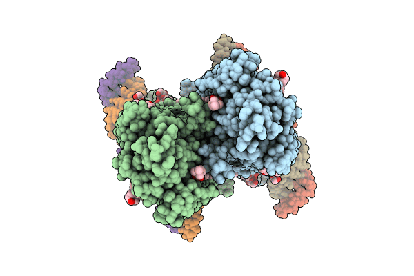 8XC1 image