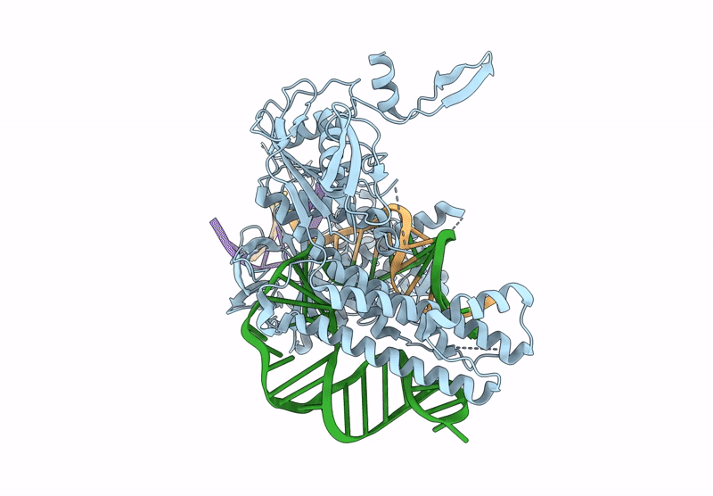 8XCA image