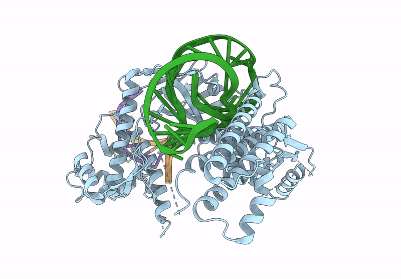 8XCC image