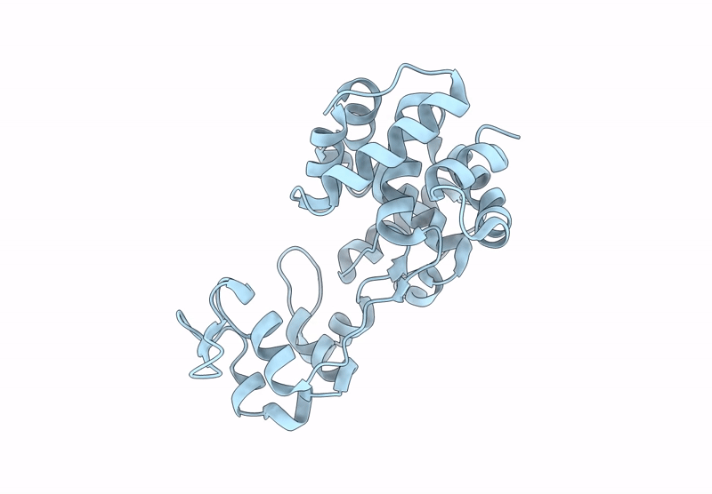 8XCL image