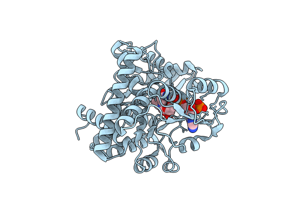 8XCO image