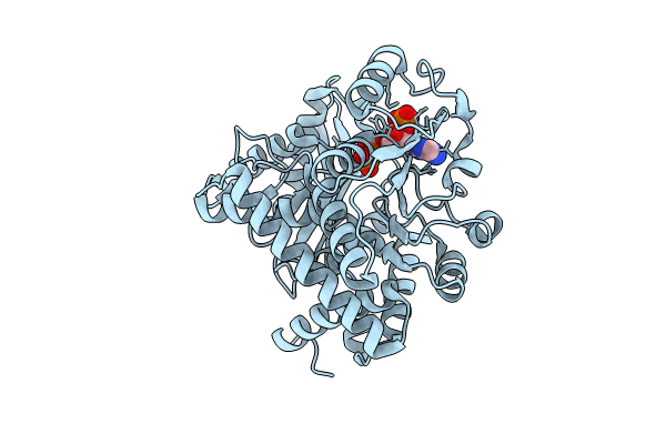 8XCV image