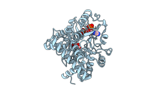 8XCZ image