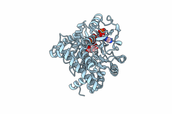 8XD4 image