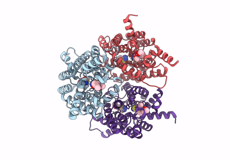 8XDB image