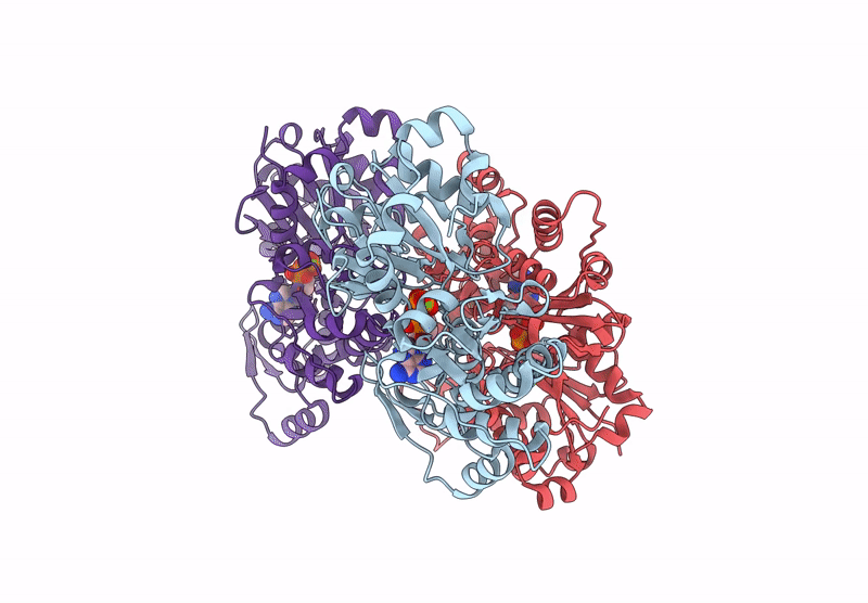 8XDM image