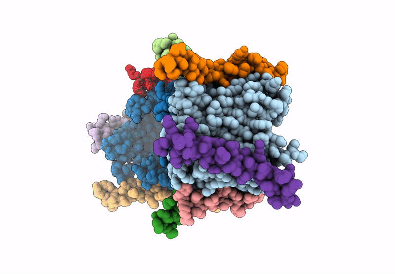 8XDN image