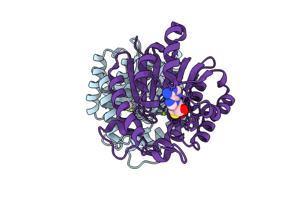 8XDT image