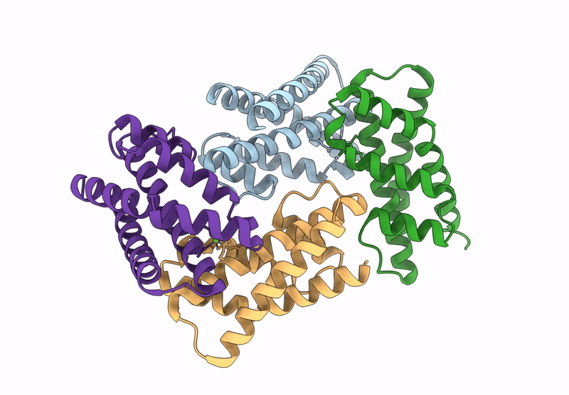8XEM image