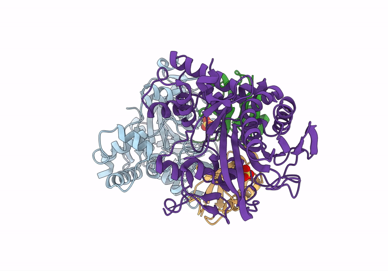 8XEP image