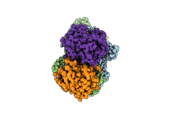 8XFE image