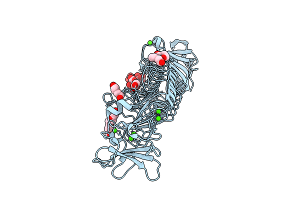 8XFR image