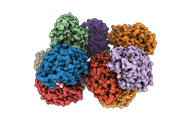 8XFV image