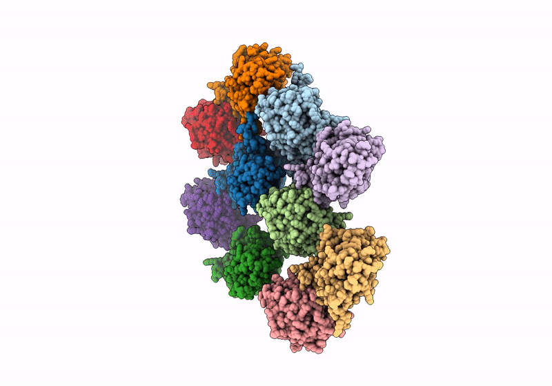 8XFY image