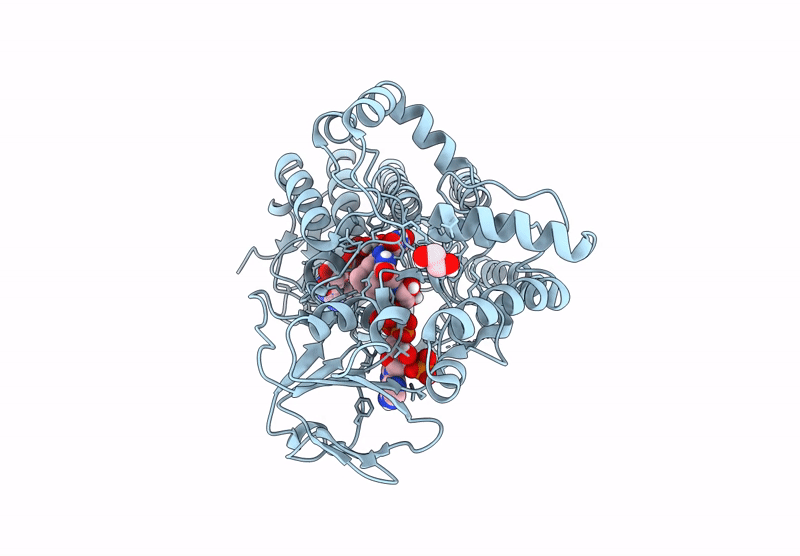 8XG7 image