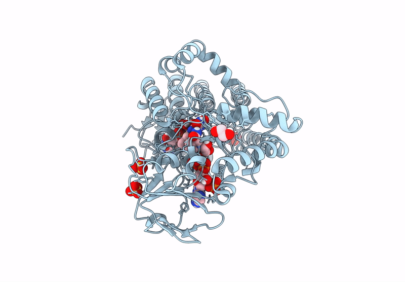 8XG8 image