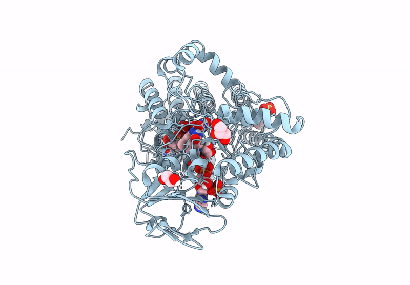 8XG9 image