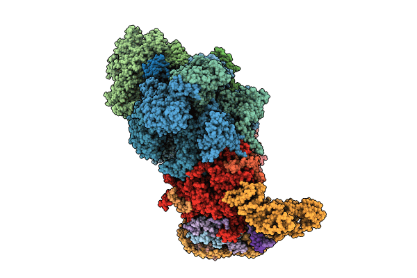 8XGC image