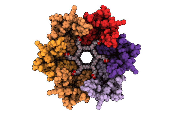 8XGF image