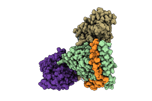 8XGM image