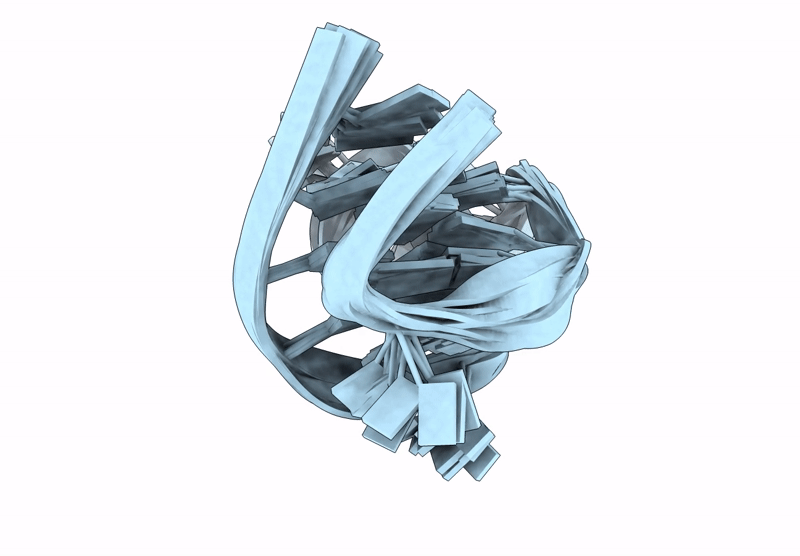 8XGP image