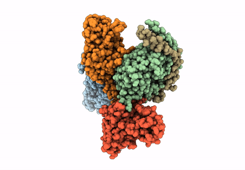 8XGS image