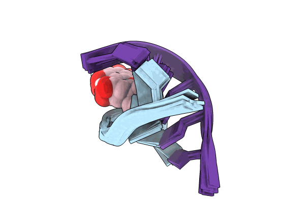 8XGW image