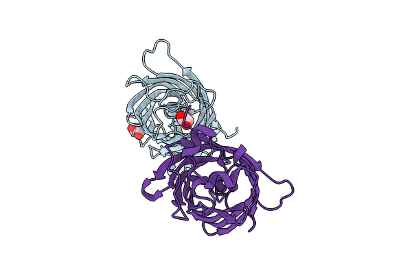 8XH1 image