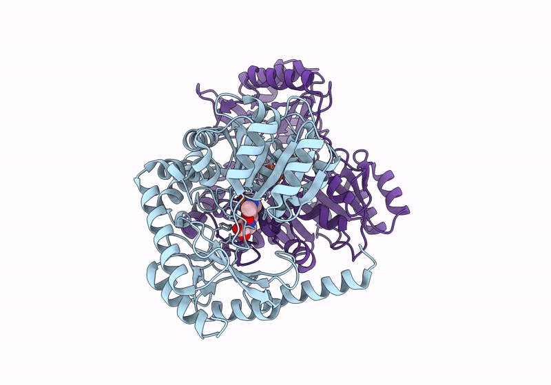 8XHA image