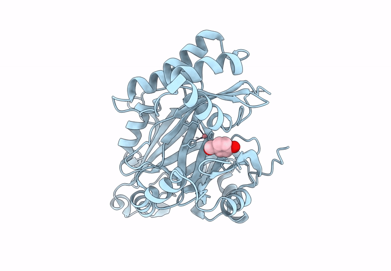 8XHJ image