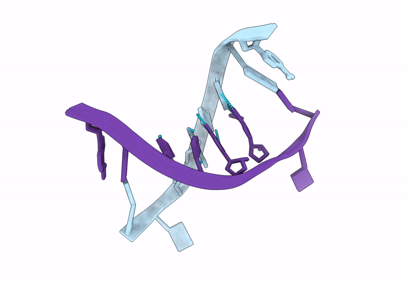 8XIC image