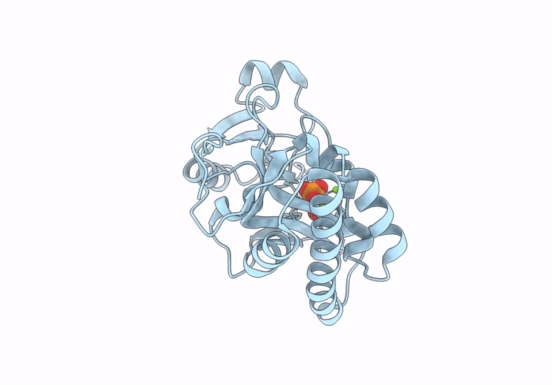 8XIG image